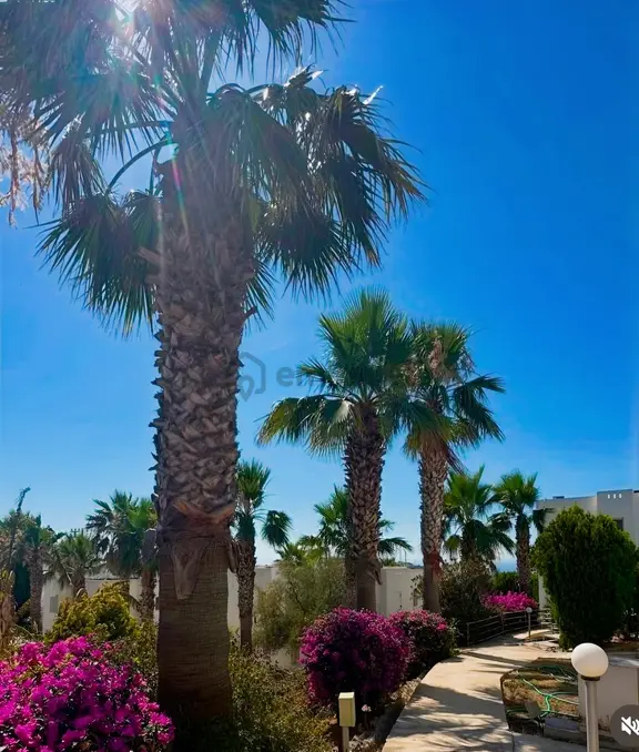Gümüşlük Koyunbaba'da Kiralık Daire 1