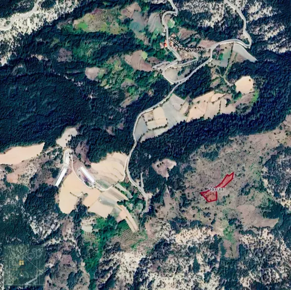 Bolu Göynük Kozcağız Köye Yakın Acil Satılık Tarla 6168 M2 1