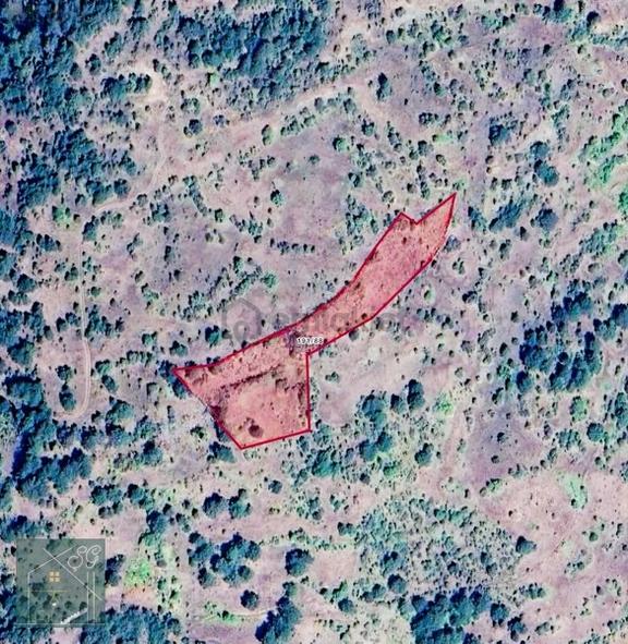 Bolu Göynük Kozcağız Köye Yakın Acil Satılık Tarla 6168 M2 2