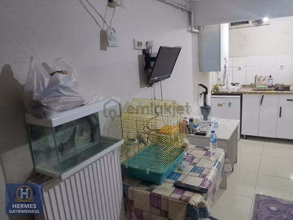 Depozıtosuz Faturalar Dahıl Kıralık 1 + 0 Daıre 2