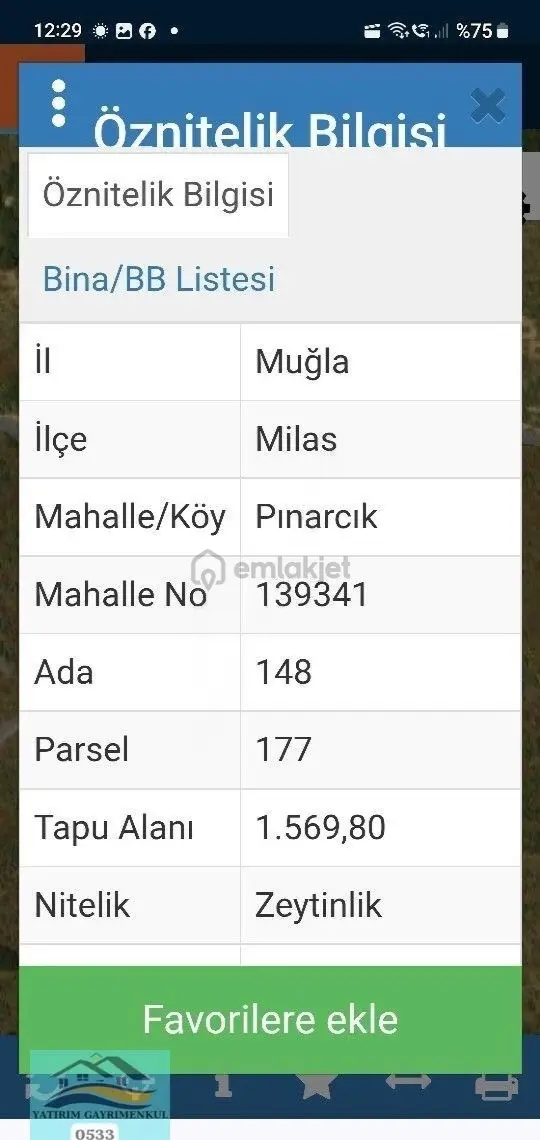 Muğla Milas Pinarcik Satllik 1568 Metre Zeytinlik 2