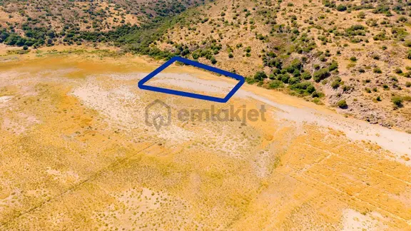 Foça Yenibağarası Mah. Satılık Tarla 2