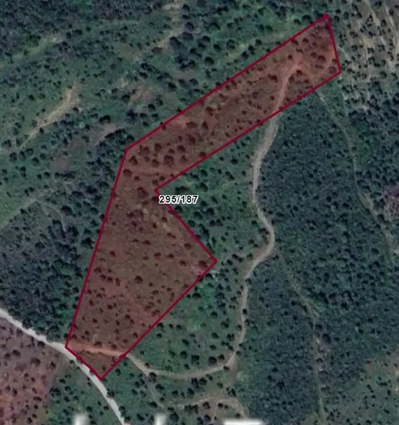 Seferihisar Ulamış'ta Yatırıma Uygun 10.265m2 Satılık Arazi 2