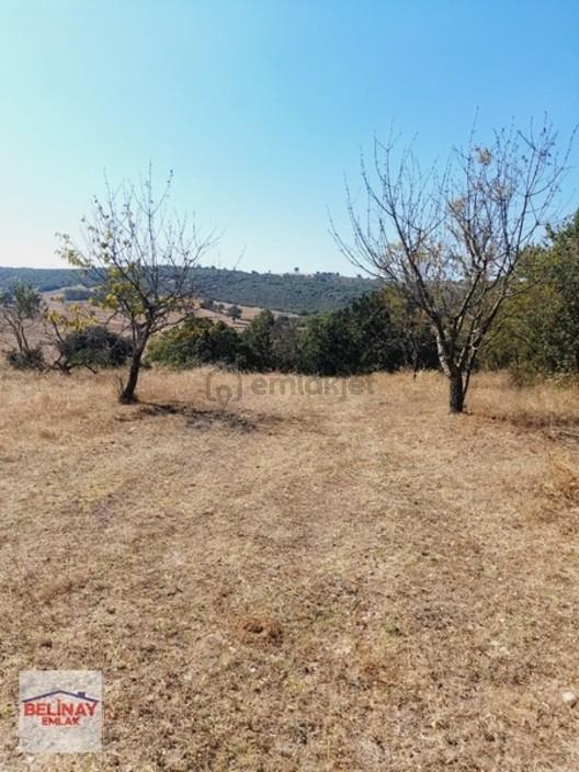 Belinay Emlaktan Taşçılar Köyünde 4887 M2 Güzel Lakasyonda 2