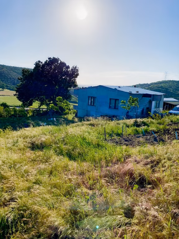 Mudanya Yörükyenicesi Satılık Tarla 2