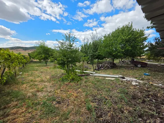 Bozkurt Satılık Bahçe Ve Müstakil Ev 2