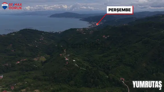 Perşembe'de Anayola Yakın, Kadastro Yoluna Cephe Arsa 1