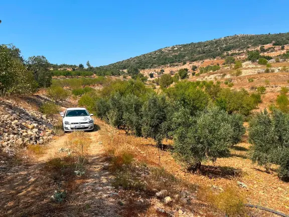 Satılık 8.962m2 Tarla Silifke/çadırlı 1