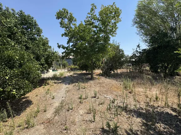 Satılık Tarla | Fevziye /ortaca | 14000m2 2