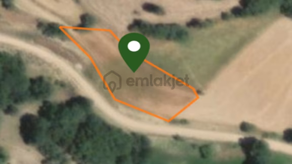 Sakarya Taraklı Satılık 1634 M2 Tarla 1