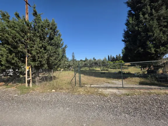 Duacı Tek Tapu 3000m² Çevre Yoluna Yakın Fırsat Arazi 2