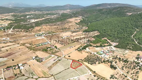 Urla Zeytinler'de Satılık Müstakil Tarla 2