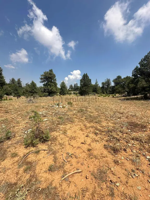 Güzeloluk'ta Satılık 3.366m2 Arsa !! 2