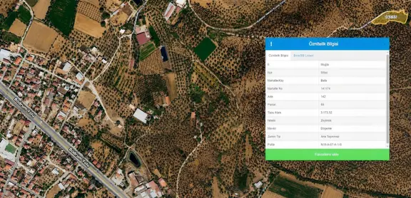 Fırsat Milas Bafa Bodrum Yolu'na Yakın Kadastral Yollu Zeytinlik 2