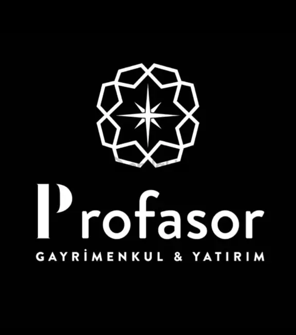 Profasor *dan Osmangazi Gündoğdu 'da Satılık Zeytinlik 2