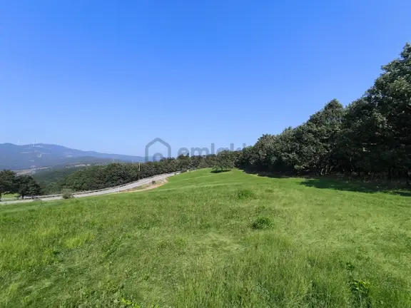 Karamürsel Tahtalıda 8.544 M² 3 Kenarı Yola Cephe 2