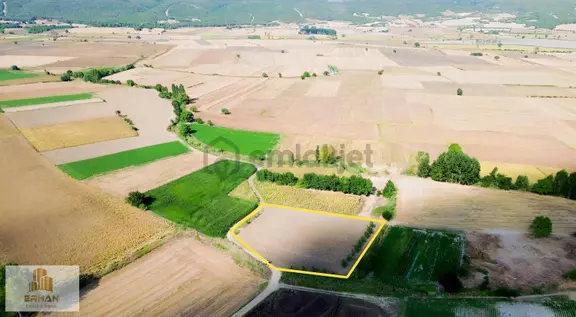 Kırklareli Vize Çavuşköyde Satılık 3668 M2 Arazi 2