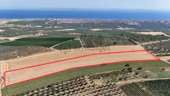 Şarköy Camikebirde 17.131 M² Deniz Manzaralı Yola Cephe Tarla 2