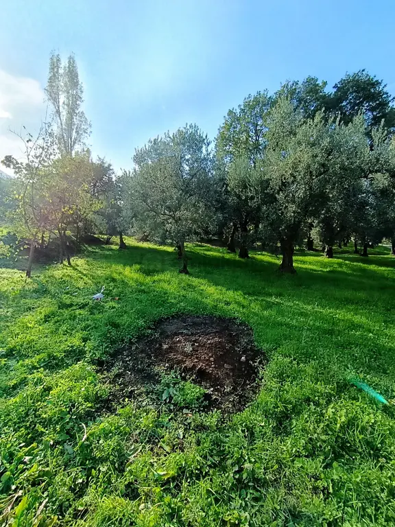 Yenigürlede İmarlı Projeli Göl Manzaralı Köşe Parsel 643m 2