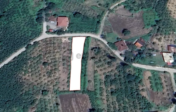 Yaman'dan Killik'te Asfalt Kenarı 872 M² Müstakil Tapulu 2