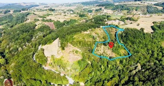 Kurtdere İslamköyde 15770m2 Çiftlik Arazisi 2