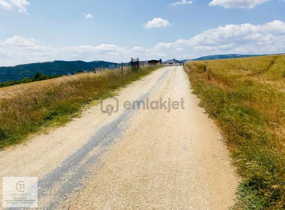 Sakarya Geyve'de Müstakil Tapulu Yolu Açık Kullanıma Hazır Tarla 2