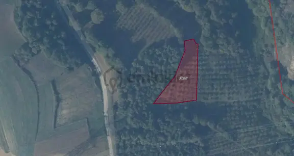 Ayşahtan Sakarya Kaynarca Şeyhtimarı Köyünde Satılık Tarla 2