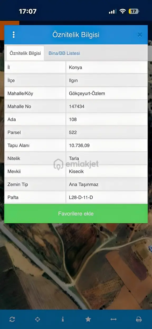Ilgın Gökçeyurtta 10.736 M² Meyve Veren Bakımlı Ceviz Bahçesi 2