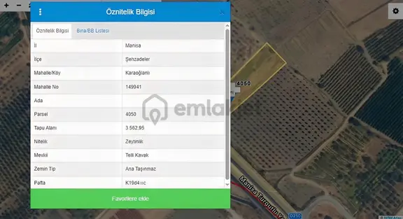 Manisa Turgutlu Yoluna 40 Mt Cepheli 3.562 M²satılık Zeytinlik 2