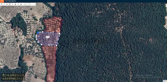 Süleymanköy Mahallesinde Asfaltan 500metre İçerde Zeytinlik !! 2