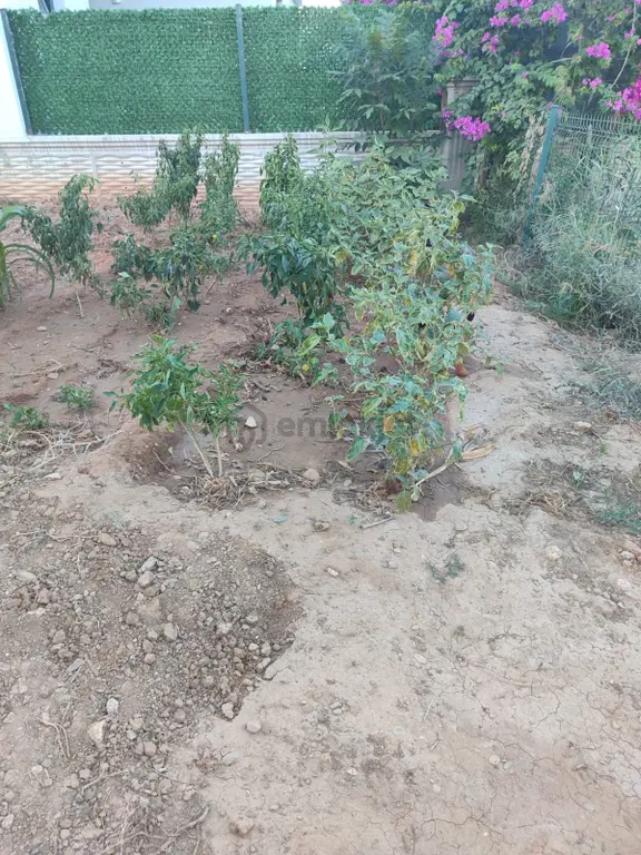 Satılık Tek Parsele Tek Villa 2