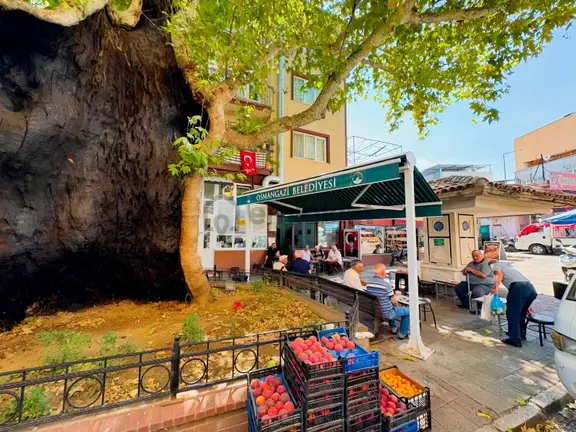Koğukçınar Meydanda Pazar Pazarı İçinde Devren Kiralık İşyeri 2
