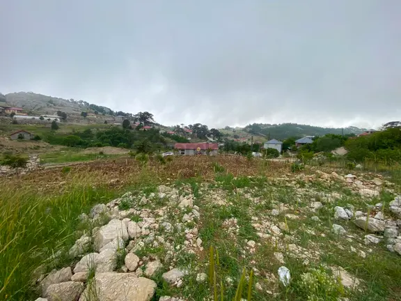 Gazipaşa Belbaşı Yaylası 500 M2 İş Yeri Ve Konut Yapılabilir Tarla 2