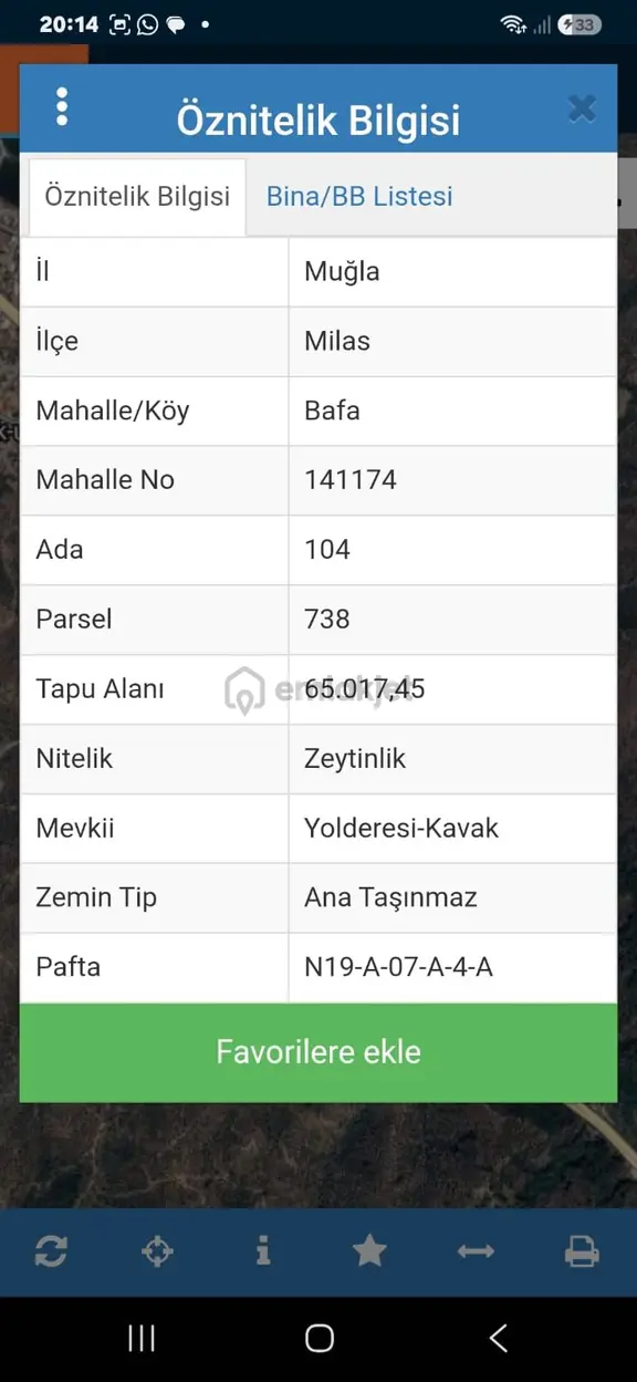 Bafa "da Yola Sıfir 65 Dönüm Satılık Zeytinlik 1