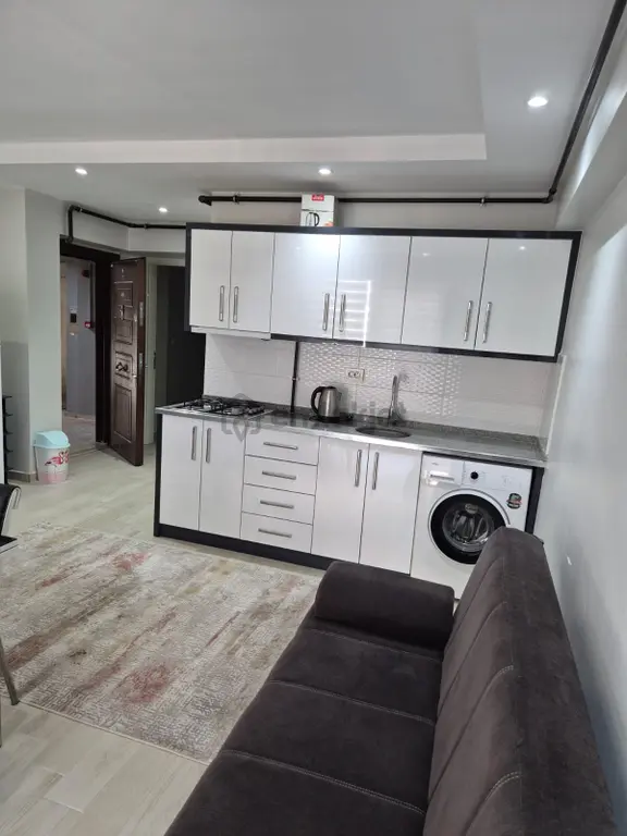 Ender Uysal Gayrimenkulden Üniversiteye Yakın 1+1 Klimalı Lüx Arakat Apart... 1