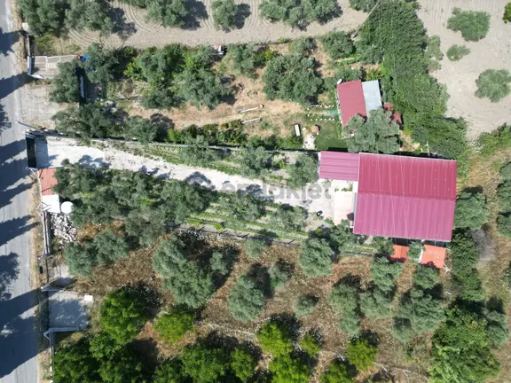 Kuşadası Kirazlıda Ana Yola Cepheli Bahçe 2