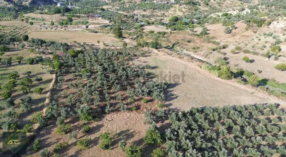Köy İçinde Verimli Arazi 2
