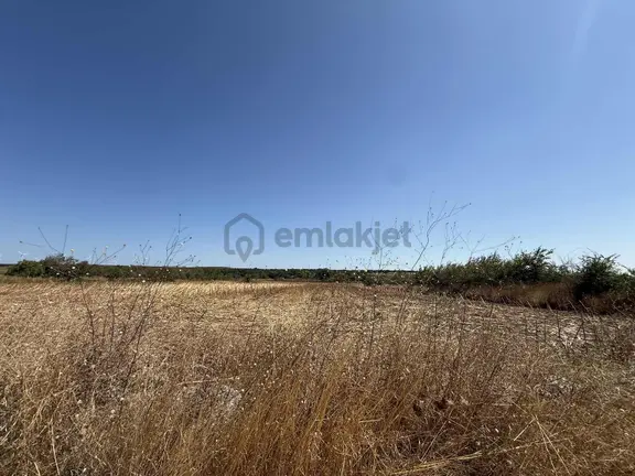 Kırklareli Vize Soğucak Köyünde 877 M² Tek Tapu Satılık Tarla 2