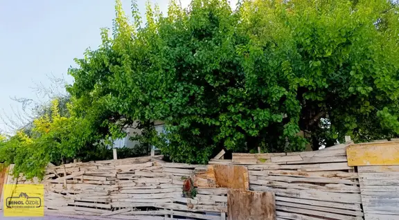 Şenoldan Satılık Hocacihanda Arsa İmarlı 362 M.kare Hisse 2