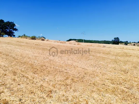 Babayakada 11.266 M2 Ana Asfalta 100mt Yatırımlık Verimli Tarla 2