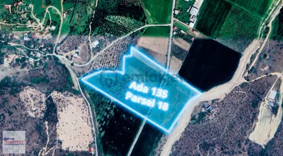 Aydın Koçarlı Cincin'de Yatırım Değeri Yüksek Satılık Tarla 2