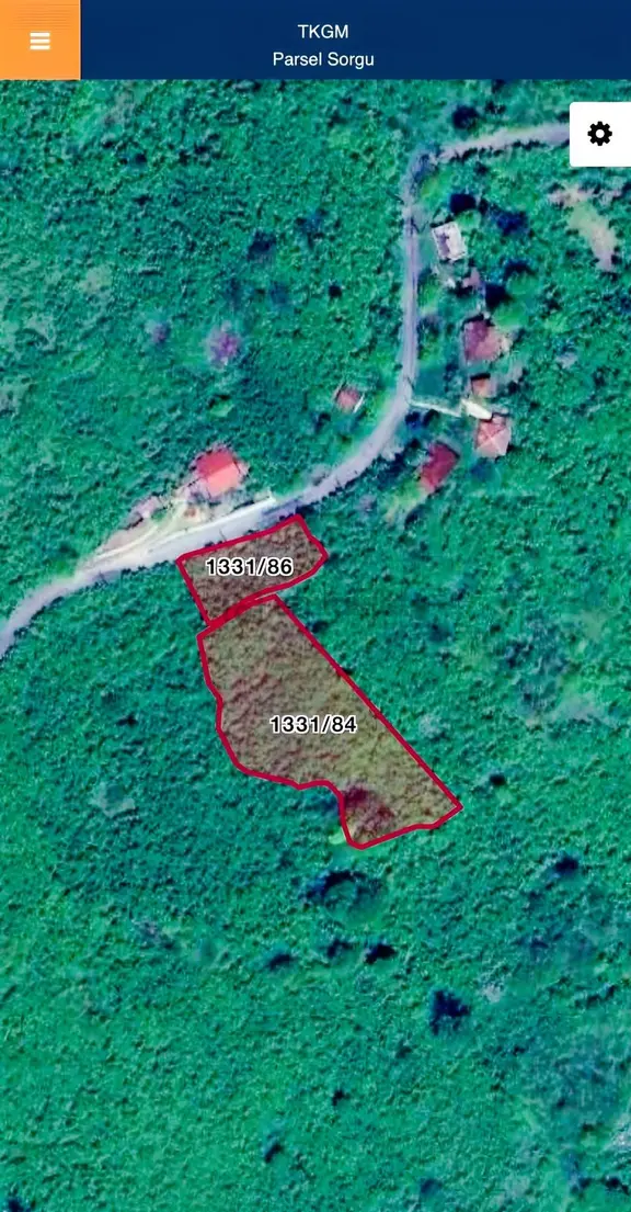 Perşembe/bolatlıda Anayol Kenarı 3000 M2 Fındık Bahçesi 2