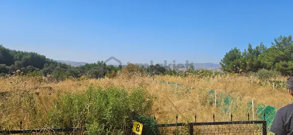 Şehrin Yanıbaşında Hisse Tapulu Tarla