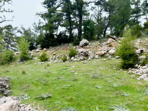 Muğla Menteşe Kıranda Satılık 2077 M² Yolu Olan Tarla. 2
