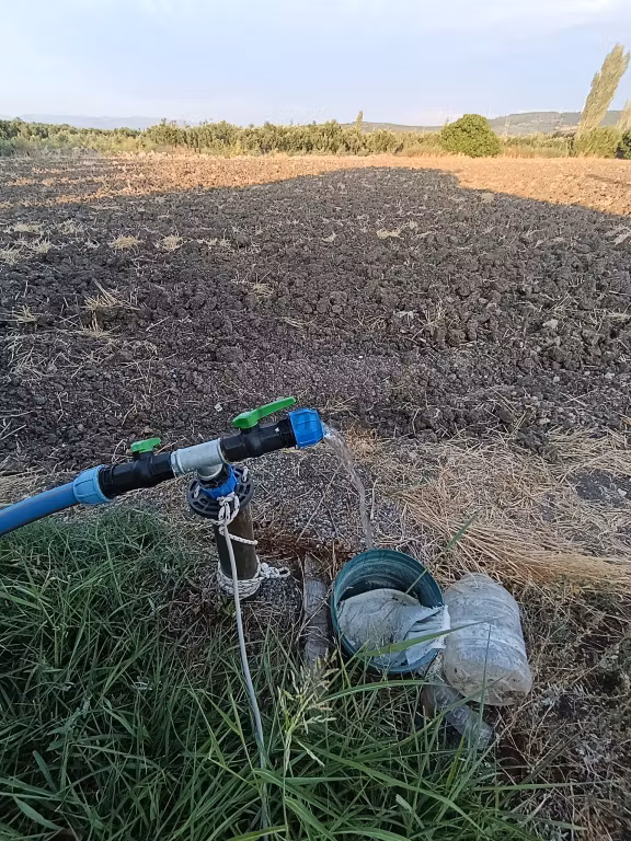 Seda Gayrimenkul’den Kırkağaç Bakır’da 9.500 Dönüm Suyu Olan Zeytinlik 1