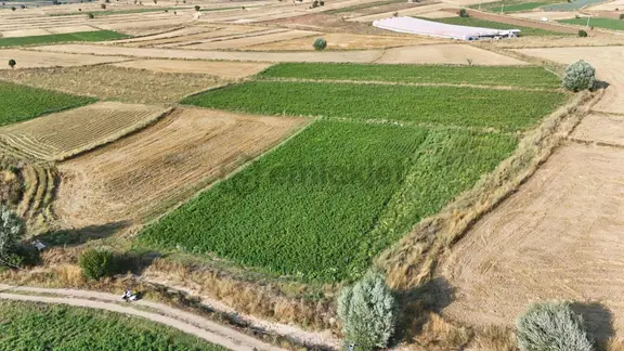 Seydikemer Doğanlarda Yol Cepheli Müstakil 3525 M2 Tarla 2