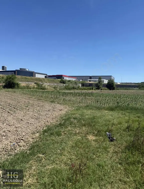 Ferizli Osb Girişinde Yatırımlık Tarla 2