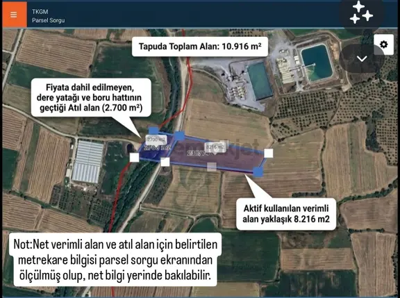 Germencikte Kelepir Fiyata Acill Satılık İncir Bahçesi! 1