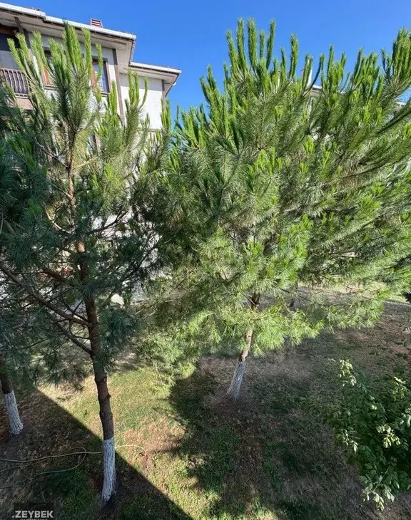 Zeybek Emlaktan Toki 2. Etapta Ara Kat Dairemiz Kiralıktır 2