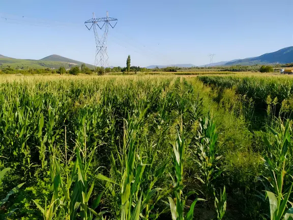 Doğa İçerisinde Yaşam 2